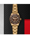 Tudor Black Bay Fifty-Eight 39 mm bronze case, Riveted bronze bracelet (watches)